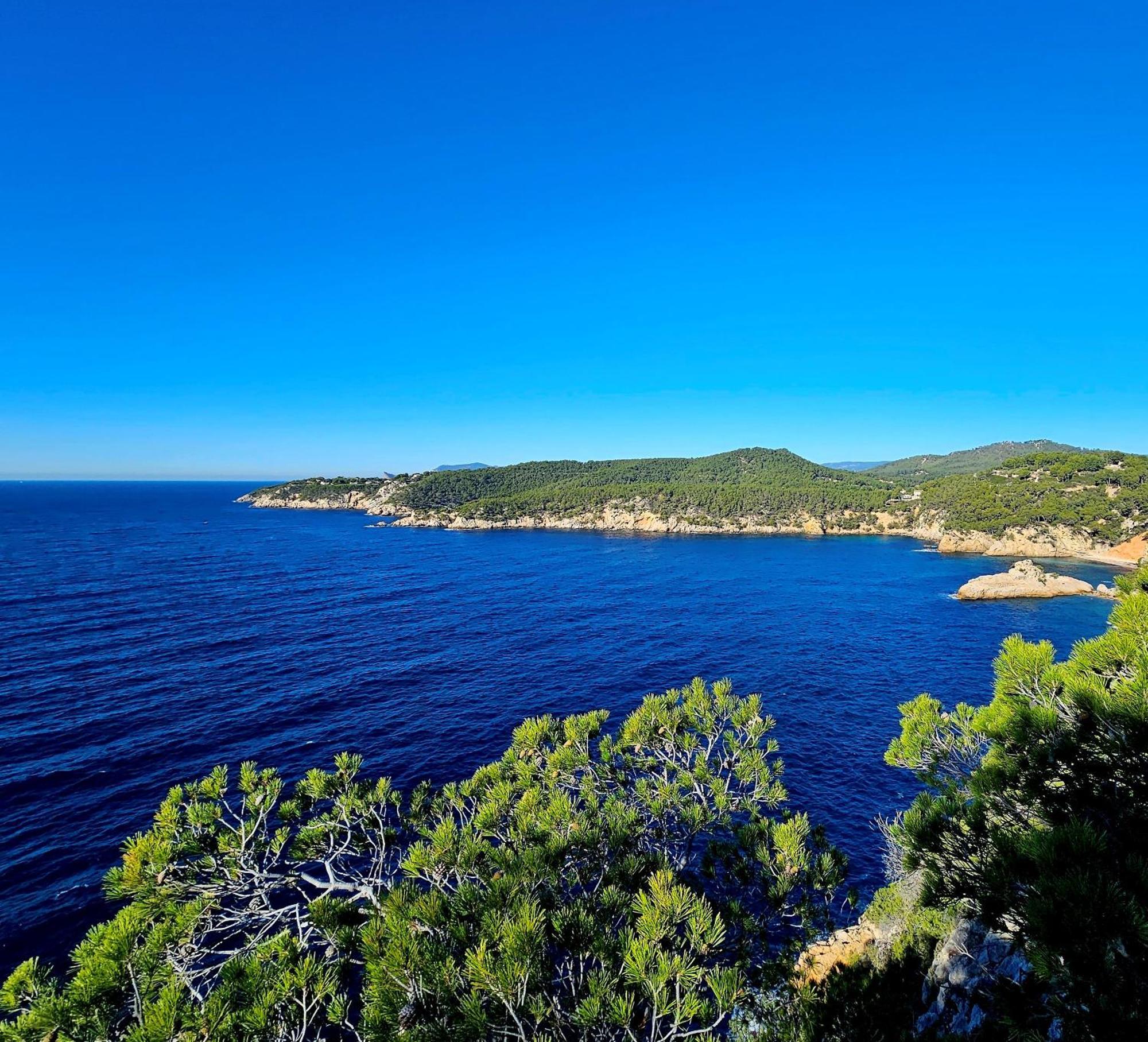 Superbe Dans Cadre D'exception - Piscine, Et Tennis Prive Apartment Bandol